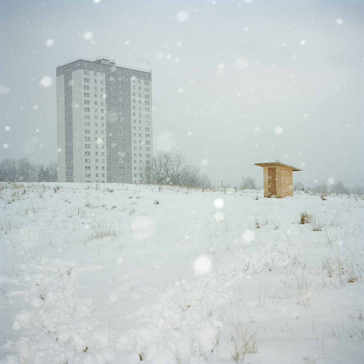 A photograph showing a snowy scene with a tower block in the distance.  In the mid-ground of the image is a small wooden shed.