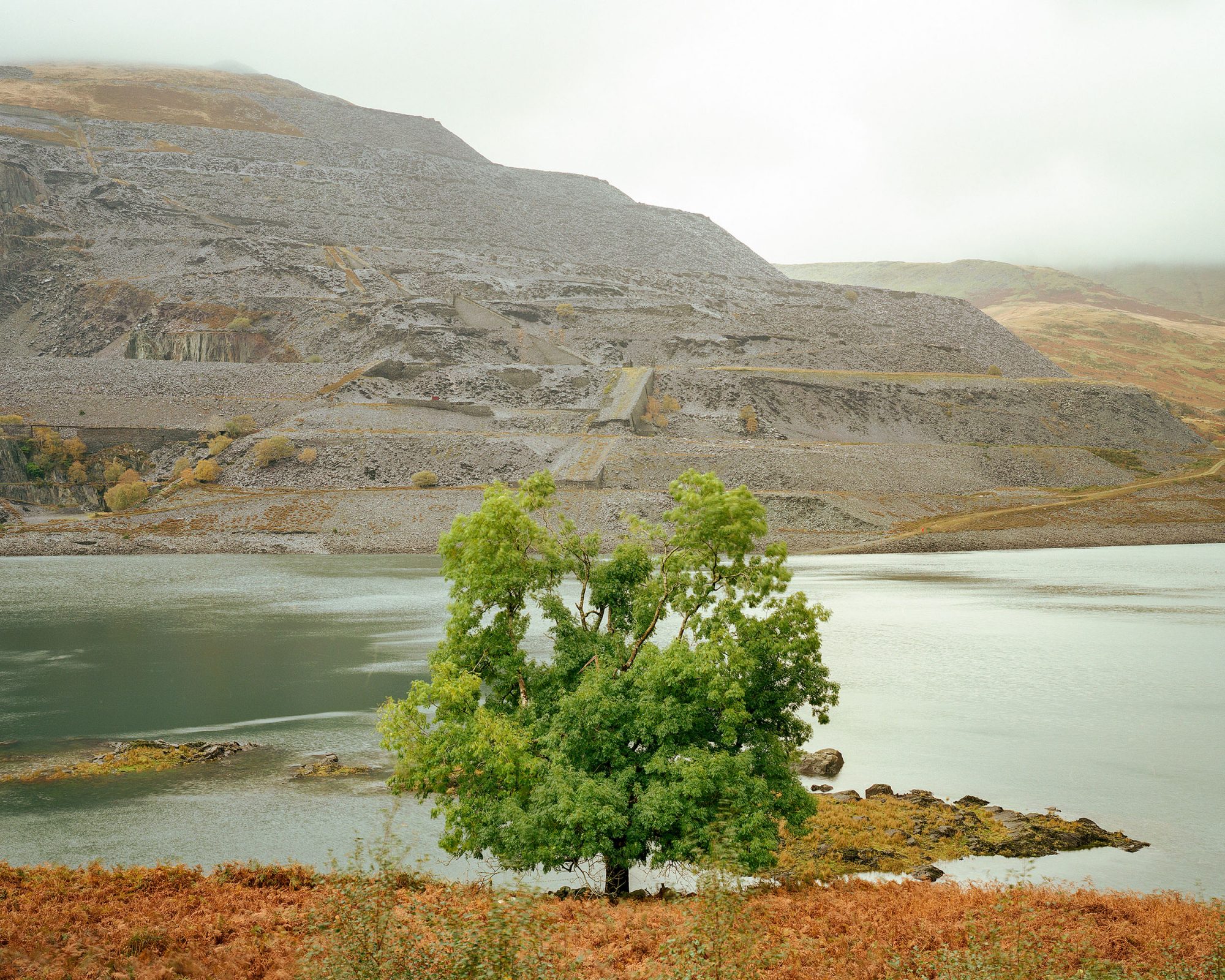 photograph from the artist showing a lone tree alongside a lake with a slate quarry in the distance.