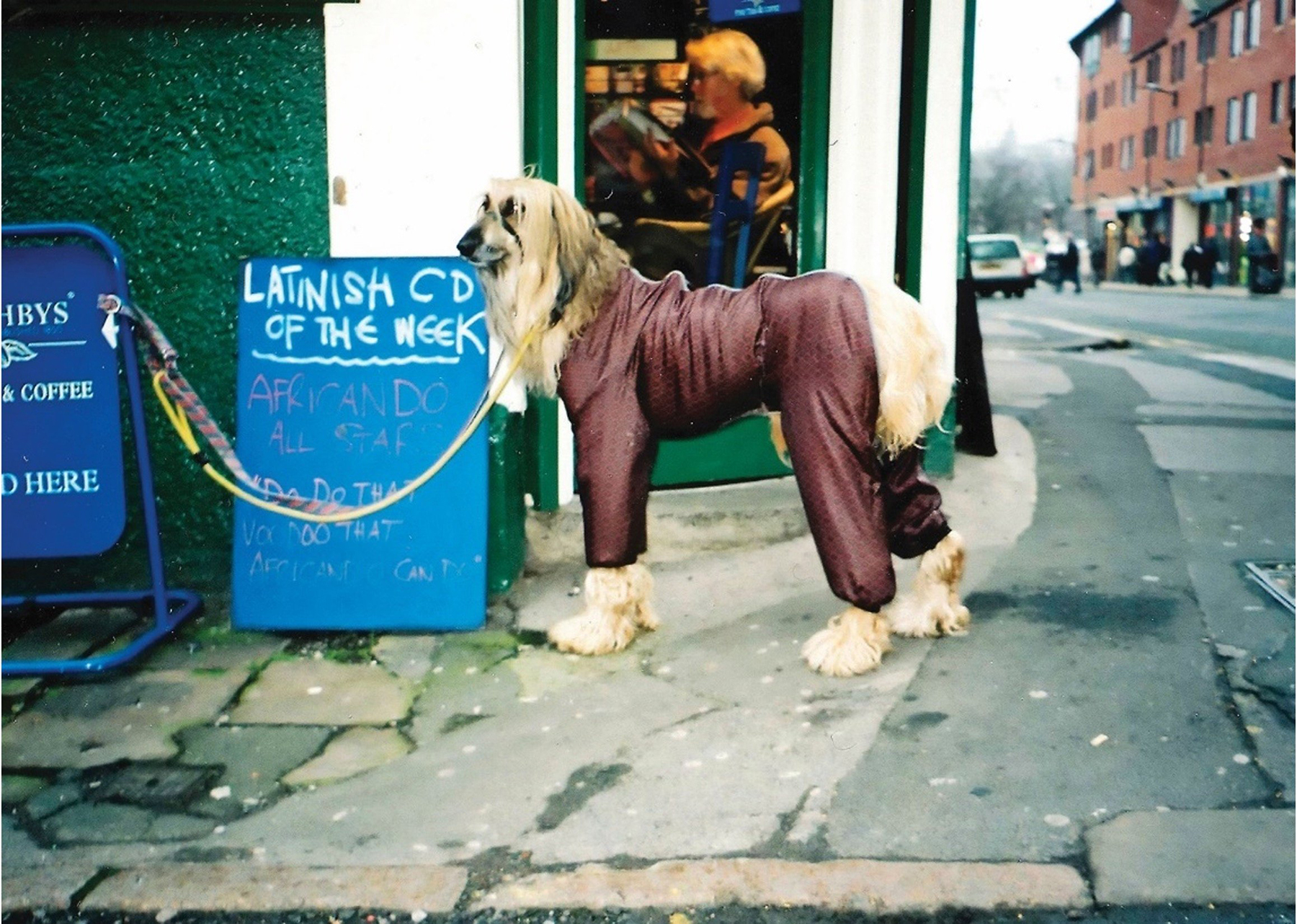 Photograph of dog in jump suit tethered to a swing sign outside a shop.